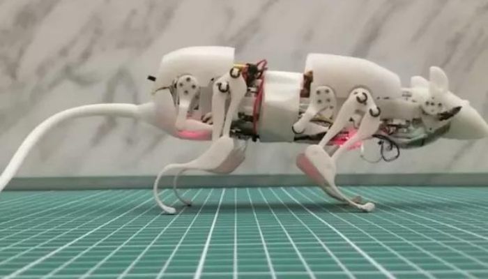 Cientistas criam rato robô que pode agir como salva-vidas